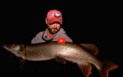 Structure Fishing Musky