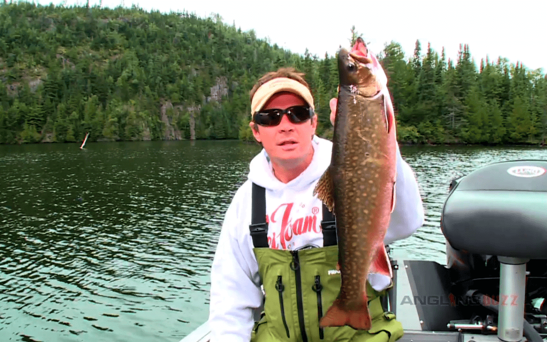 Canadian Brook Trout