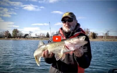 Coldwater Fall Walleyes on Plastics
