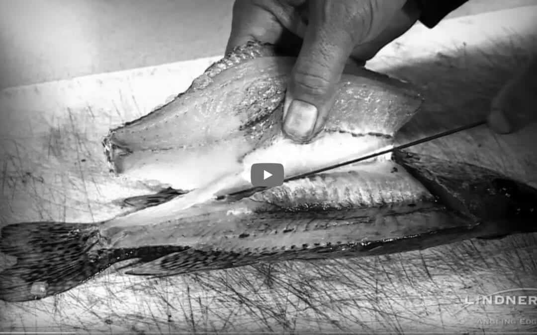How to Fillet a Crappie