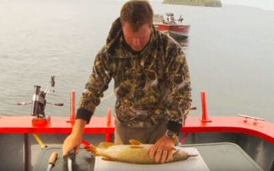 How to Remove Northern Pike Y Bones