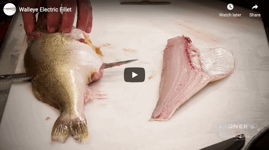 Perfect Walleye Fillets with an Electric Fillet Knife