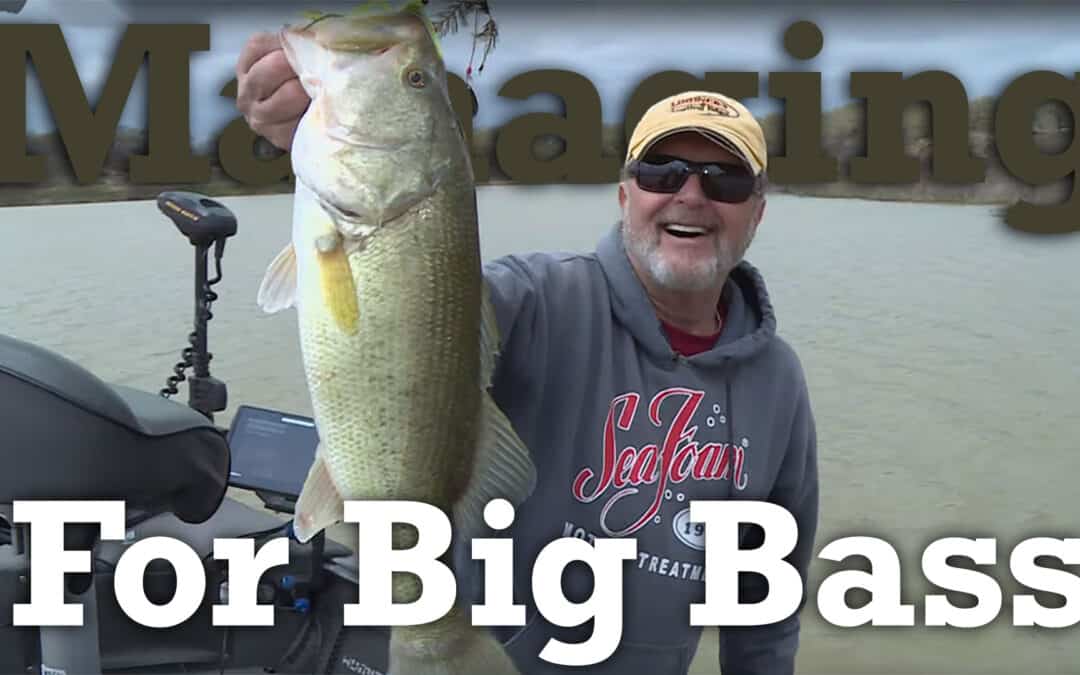 Managing For Big Bass
