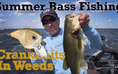Summer Bass Fishing Crankbaits in Weeds