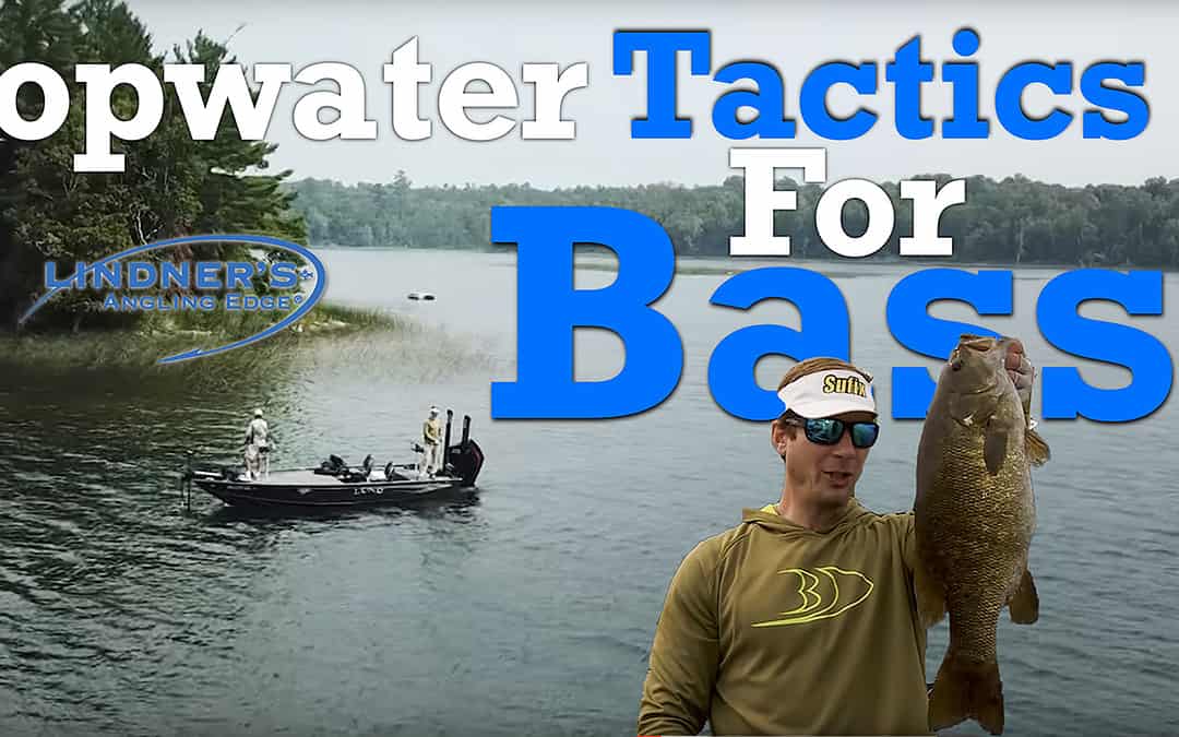 Top Bass Topwater Tactics