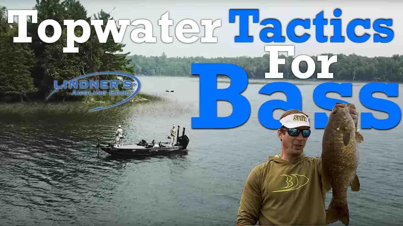 topwater tactics for bass