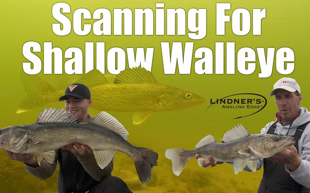 Scanning For Shallow Walleye