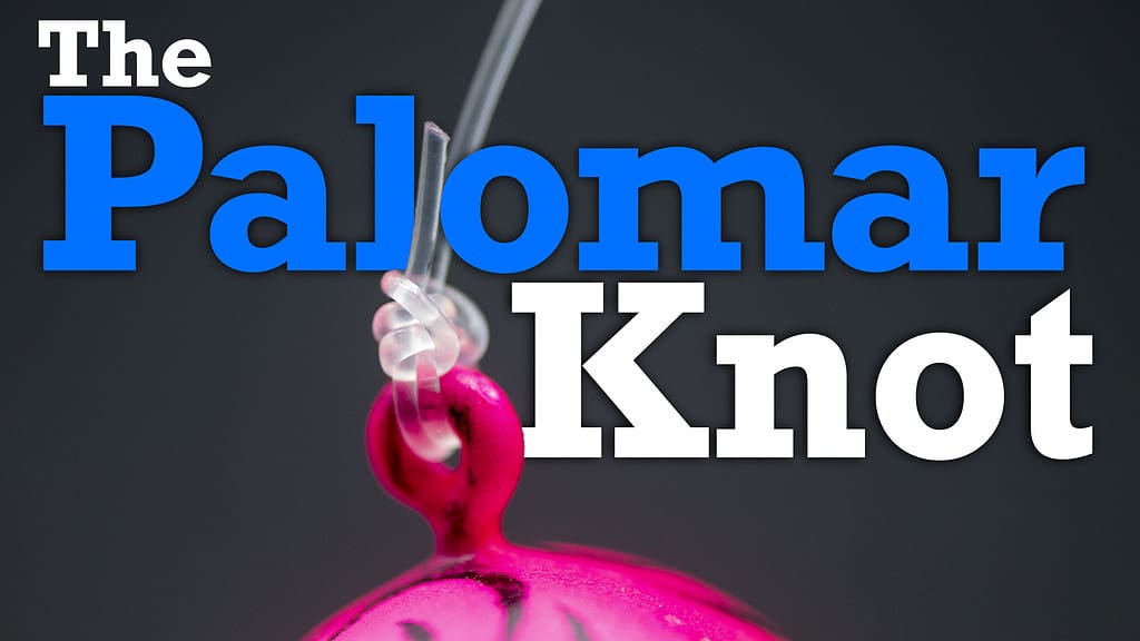 The Palomar Knot